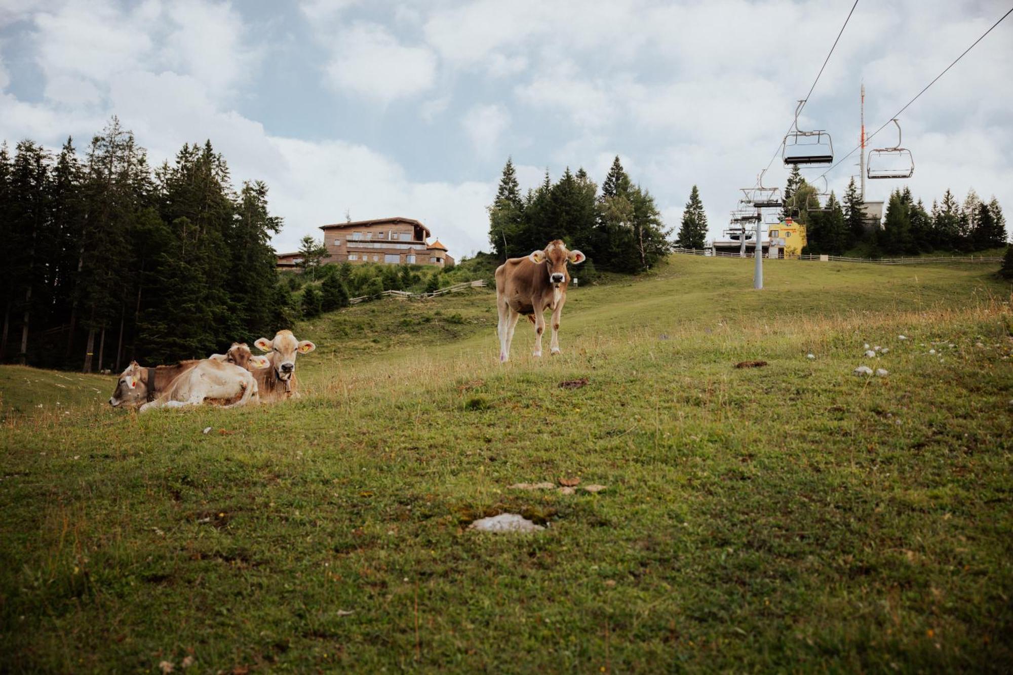 Chalet G12 - Mountain Luxury Apartments Seefeld in Tirol Exterior photo